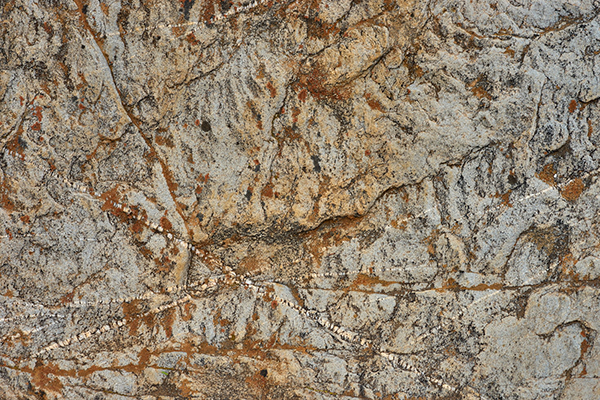 汉章大监是什么