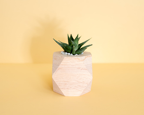 什么是人生价值