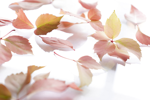 经典唐诗宋词三百首