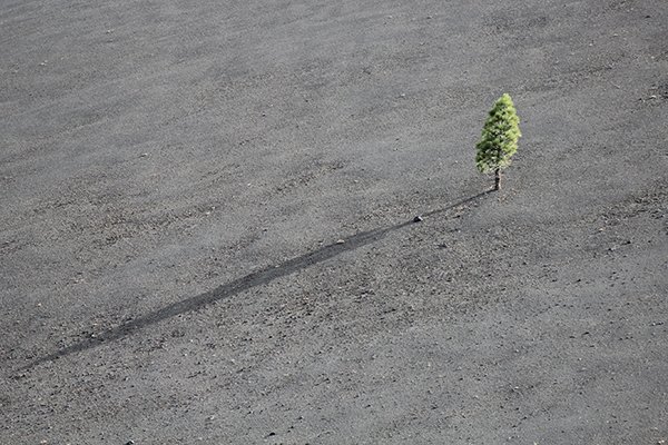 唐代白居易中秋月写作背景