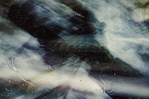 山禽指的是什么