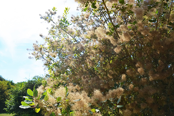 形容爱国的诗词